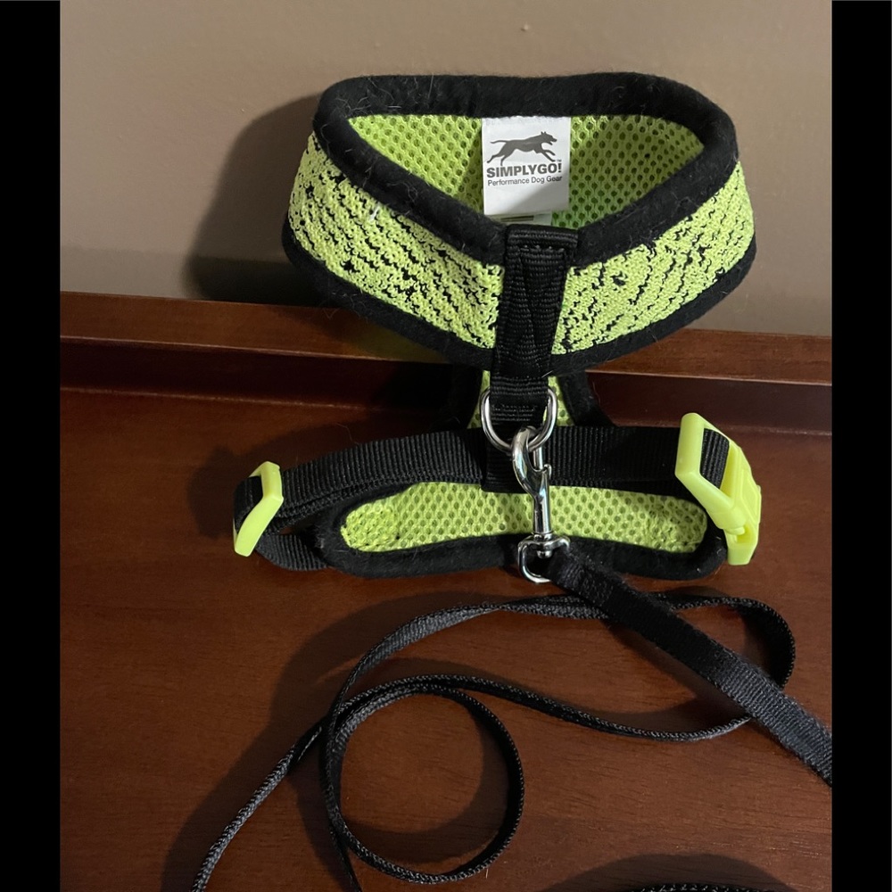 SMALL PET HARNESS WITH LEASH